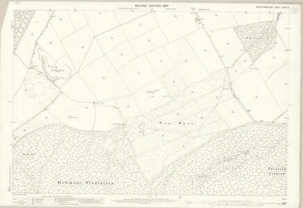 Northumberland (Old Series) XXXVII.4 (includes: Whittingham) - 25 Inch Map