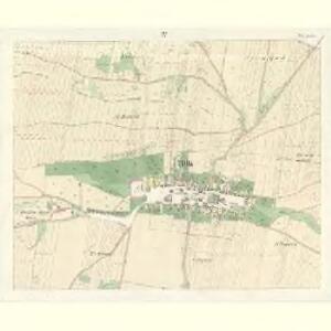 Třtitz (Třtice) - c8088-1-003 - Kaiserpflichtexemplar der Landkarten des stabilen Katasters