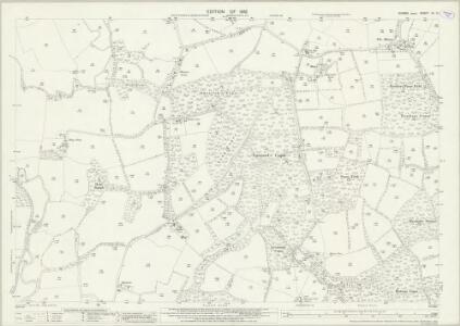 Sussex XII.12 (includes: Billingshurst; Rudgwick) - 25 Inch Map