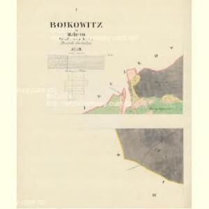 Boikowitz - m0154-1-001 - Kaiserpflichtexemplar der Landkarten des stabilen Katasters