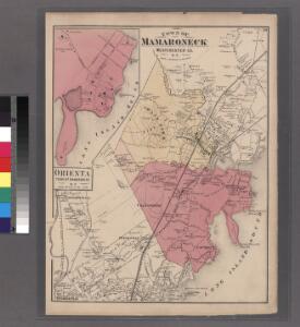 Plate 59: Town of Mamaroneck, Westchester Co. N.Y.