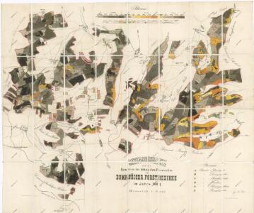 Porostní mapa pro exkurzi Českého lesnického spolku v domoušickém lesním okrsku v roce 1881 1