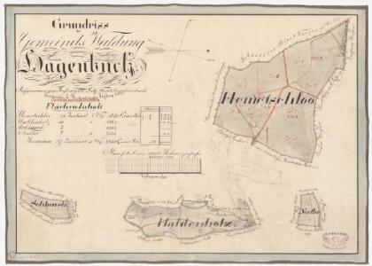 Hagenbuch: Gemeindewaldung: Hämetschloh (Hemetschlooholz), Schluch (Schlauch), Haldenholz, Nestler; Grundrisse
