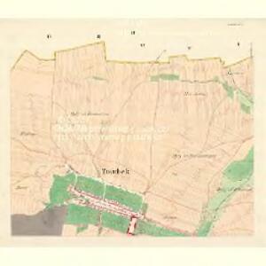 Traubek - m3139-1-002 - Kaiserpflichtexemplar der Landkarten des stabilen Katasters