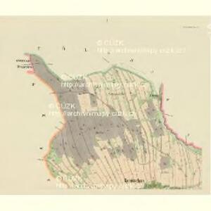 Tamitschan - c1428-1-001 - Kaiserpflichtexemplar der Landkarten des stabilen Katasters