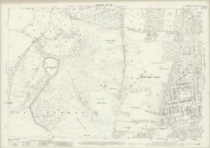 Hampshire and Isle of Wight XXI.1 (includes: Farnborough; Hawley) - 25 Inch Map