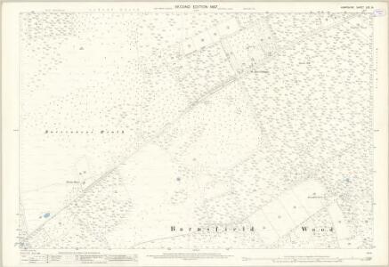 Hampshire and Isle of Wight LXX.14 (includes: St Leonards and St Ives) - 25 Inch Map