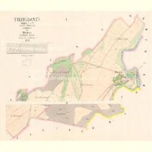 Trzebonin (Třebonin) - c8045-1-001 - Kaiserpflichtexemplar der Landkarten des stabilen Katasters