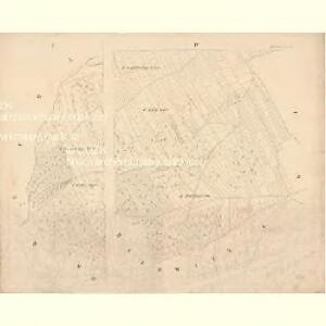 Rausinow - c6565-1-001 - Kaiserpflichtexemplar der Landkarten des stabilen Katasters